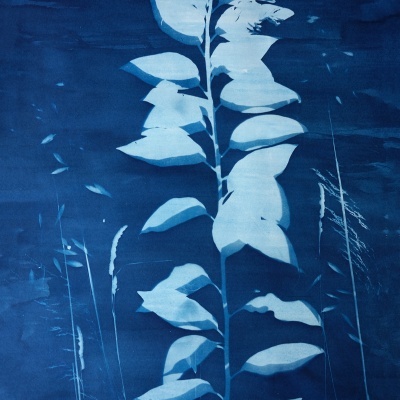 Planta em silhueta azul com folhas alongadas e caule vertical em fundo liso azul