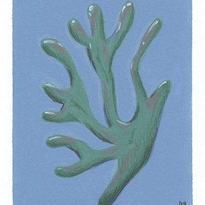 Pintura de coral verde com fundo azul