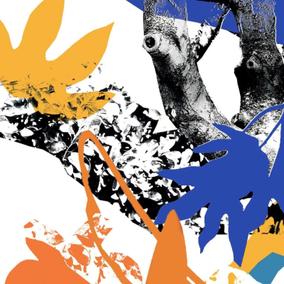 Imagem artística com tronco de árvore preto e branco e folhas coloridas abstratas