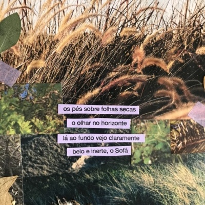 Colagem com imagens de relva, plantas e folhas secas com texto em tiras roxas
