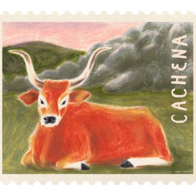 Selo ilustrado com vaca castanha de chifres longos em paisagem natural e texto CACHENA