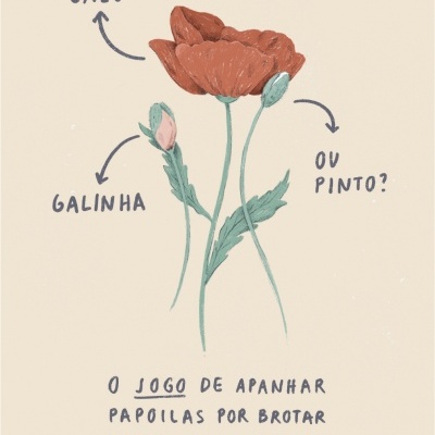 Desenho de papoilas com texto manuscrito em português indicando tipos e instruções do jogo.