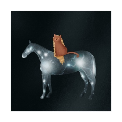 Cavalo cinza com padrão estelar e gato castanho sentado nas costas sobre fundo preto