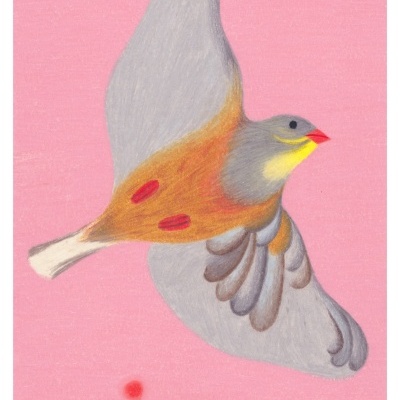 Ilustração colorida de um pássaro em voo sobre fundo rosa