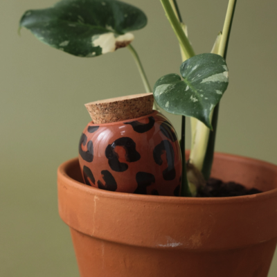 Vaso de barro com planta verde e frasco decorativo com padrão animal print.