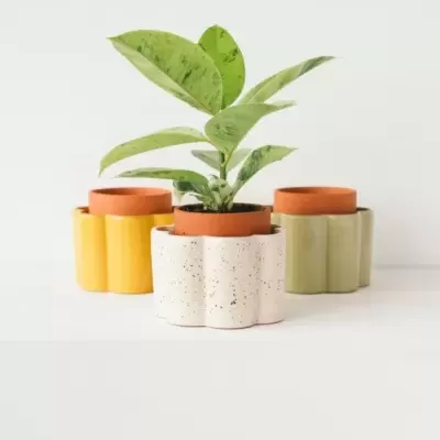 Três vasos cerâmicos ondulados coloridos com plantas verdes em vasos de barro