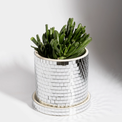 Vaso decorativo espelhado com planta suculenta verde