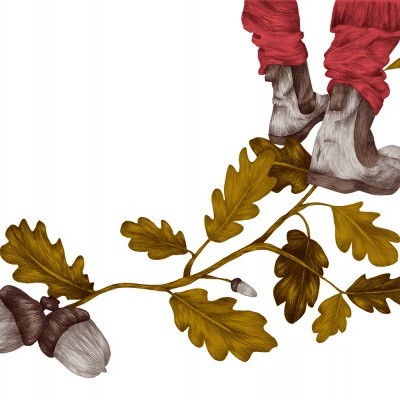 Pés humanos descalços em tecido vermelho sobre ramo com folhas e bolotas castanhas