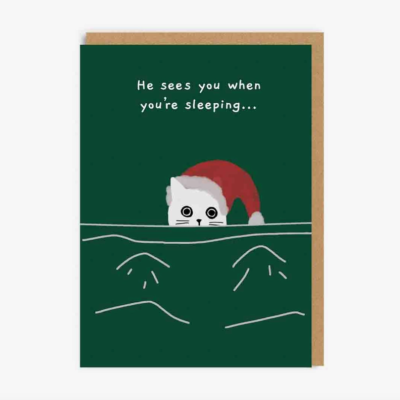 Postal de Natal com gato branco e texto em inglês sobre fundo verde escuro