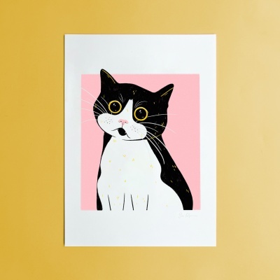 Ilustração de um gato preto e branco com olhos amarelos sobre fundo rosa