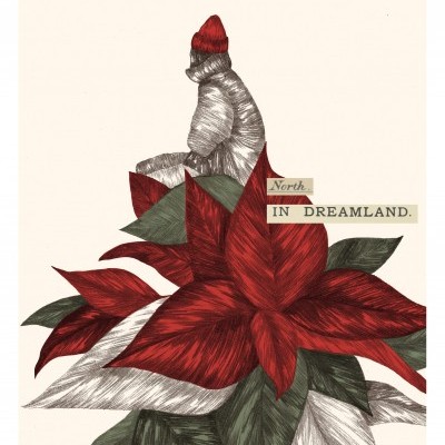 Ilustração de urso com gorro vermelho sentado sobre flor vermelha com texto 'North IN DREAMLAND.'