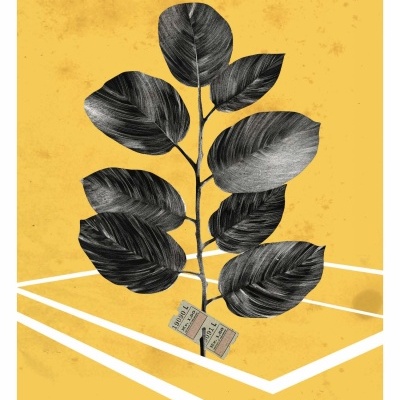 Ilustração de planta com folhas negras em fundo amarelo com linhas brancas e etiquetas penduradas