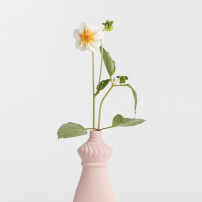 Vaso cerâmico rosa com flor branca e folhas verdes sobre fundo branco.
