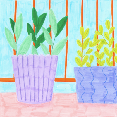 Duas plantas em vasos lilás e azul sobre superfície rosa e fundo azul com barras laranjas