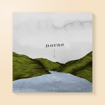 Rótulo de vinho branco texturizado com paisagem verde e rio azul e texto DOURO
