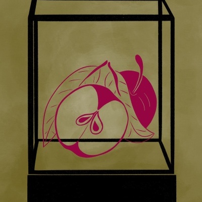 Desenho de uma maçã cor-de-rosa dentro de uma caixa preta tridimensional sobre fundo verde oliva