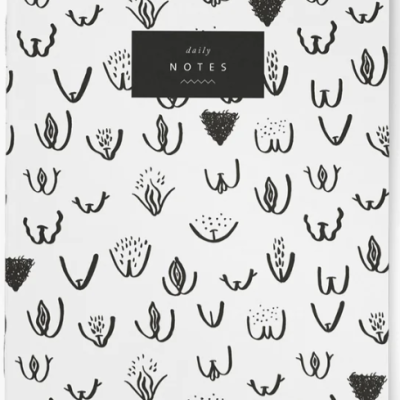 Caderno branco com desenhos em preto de órgãos genitais femininos e etiqueta 'daily NOTES'