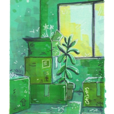 Caixas de cartão verdes empilhadas numa sala verde com uma planta e janela ao fundo