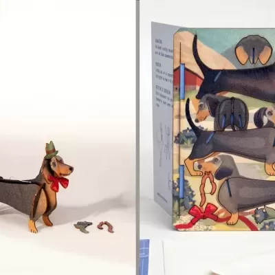 Figura de cão Dachshund com coleira vermelha ao lado de embalagem ilustrada com cães.