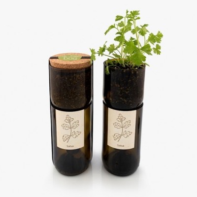 Duas garrafas verdes com terra, uma com tampa de cortiça e outra com planta salsa, etiquetas com desenho de planta