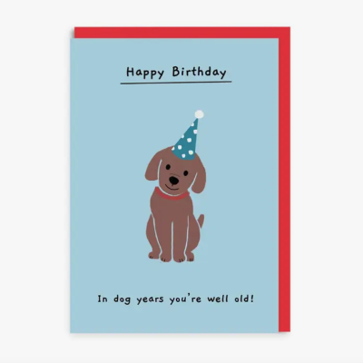 Cartão de aniversário azul claro com cão castanho e texto em inglês