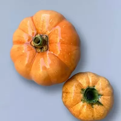 duas abóboras laranja brilhante sobre fundo cinza claro