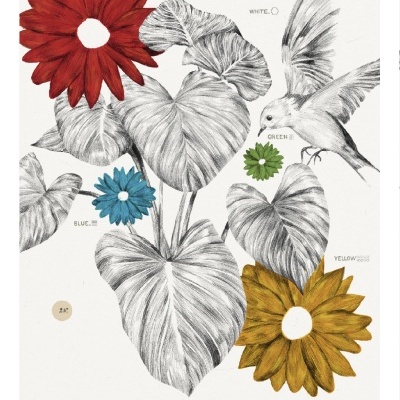 Ilustração de flores coloridas e folhas a preto e branco com um pássaro, texto indicando as cores e frase 