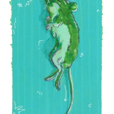 Ilustração de rato verde com ventre branco sobre fundo azul com pequenos desenhos brancos.