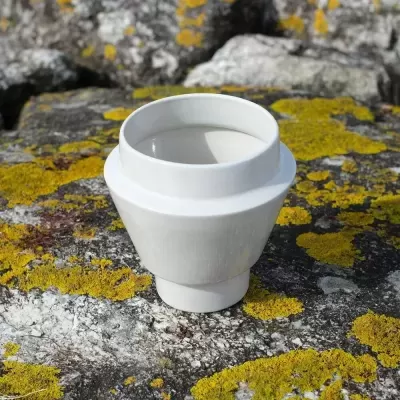 Vaso branco de cerâmica sobre pedras com líquenes amarelos e cinza