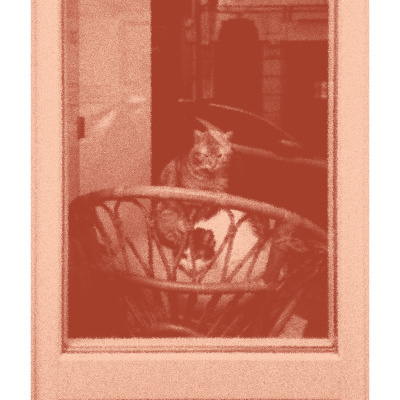 Porta de madeira com vidro mostrando um gato e cadeira de vime no interior