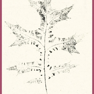 Desenho monocromático de uma folha com textura rugosa em fundo claro