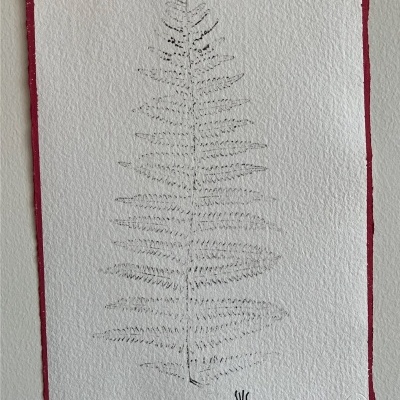 Desenho minimalista de folha de fetos em papel texturizado branco com borda vermelha