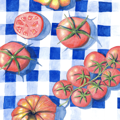 Ilustração de tomates vermelhos e flores sobre padrão quadriculado azul e branco