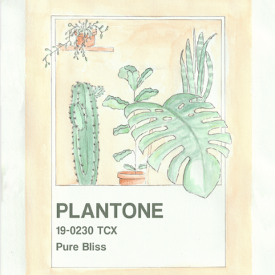 Ilustração aquarela de plantas com texto PLANTONE 19-0230 TCX Pure Bliss