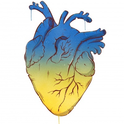 Desenho estilizado de um coração humano em azul e amarelo