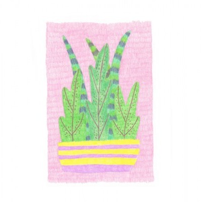 Ilustração em aquarela de planta suculenta verde num vaso laranja com riscas amarelas