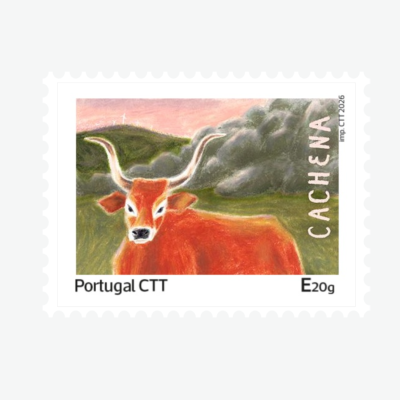 Selo postal com desenho de bovino Cachena