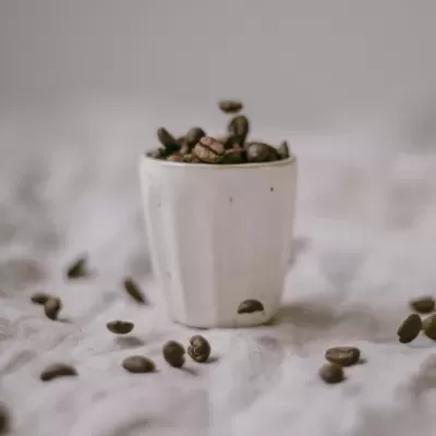 Copinho branco com grãos de café e grãos espalhados sobre tecido