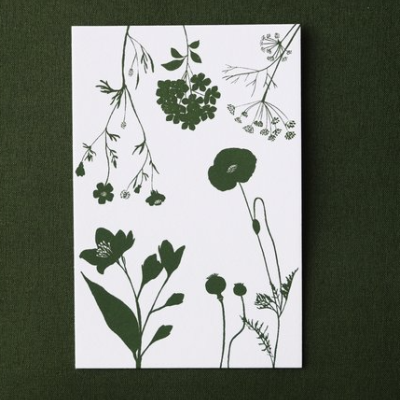 Cartão postal branco com desenhos de plantas verdes sobre tecido verde.
