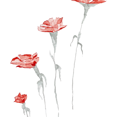 Ilustração aguarela de quatro flores vermelhas com caules cinzentos em fundo branco