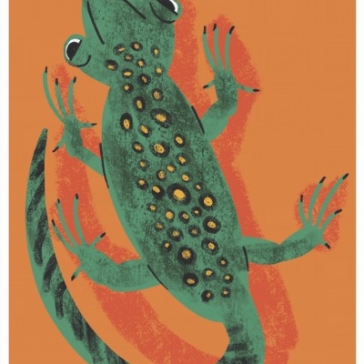 Ilustração de lagarto verde com manchas em fundo laranja