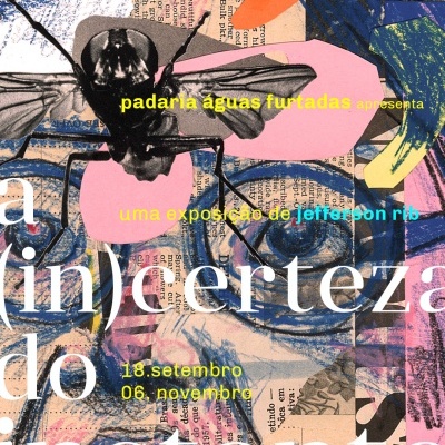 cartaz artístico com colagem, texto colorido e uma mosca preta em destaque