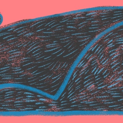 Desenho de coelho negro com olhos brancos e contorno azul num fundo coral.