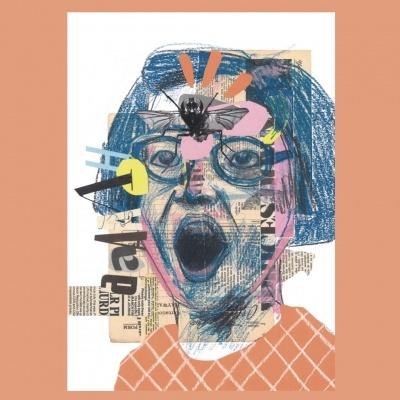 Colagem de rosto humano com expressão de surpresa e mosca desenhada na testa