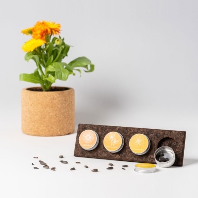 Conjunto de latas pequenas amarelas em suporte de cortiça com sementes e vaso cilíndrico de cortiça com planta e flores amarelas