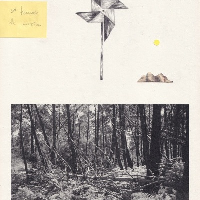 Colagem com desenho de catavento, post-it amarelo com texto, círculo amarelo, desenho de montanhas e foto de bosque em preto e branco.