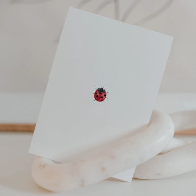 Cartão branco com ilustração de uma joaninha vermelha com pintas negras