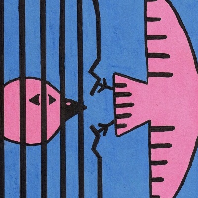 Arte de rua com dois pássaros cor-de-rosa, um dentro de uma gaiola preta e outro fora, fundo azul.