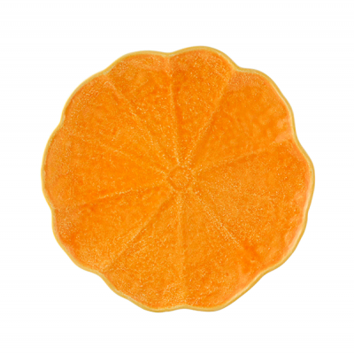 Frisbee laranja com textura em forma de gomos