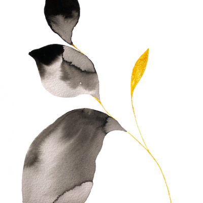 Ilustração de planta em aquarela com folhas cinza, preto e amarelas